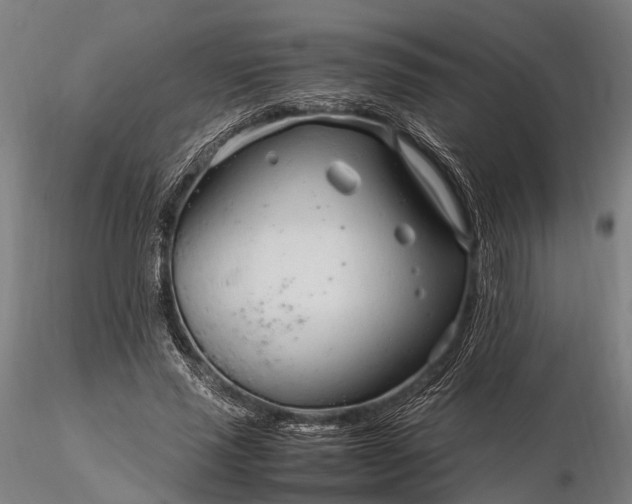 X0000116310637200912141359