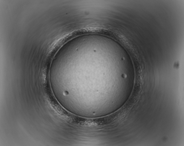 X0000116310640200912141359