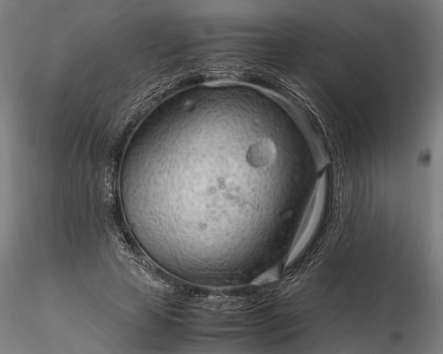 X0000116310641200912141359