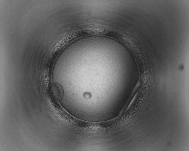 X0000116310642200912141359