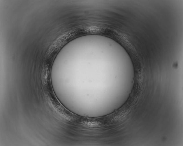 X0000116310645200912141359