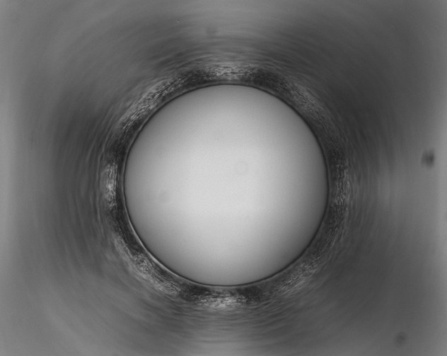 X0000116310646200912141359