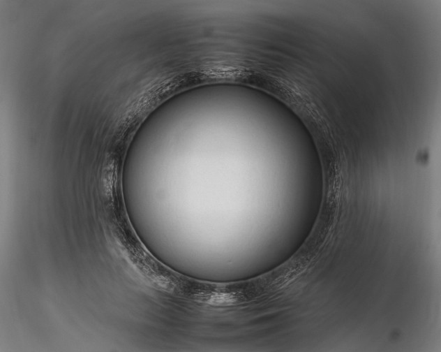 X0000116310647200912141359