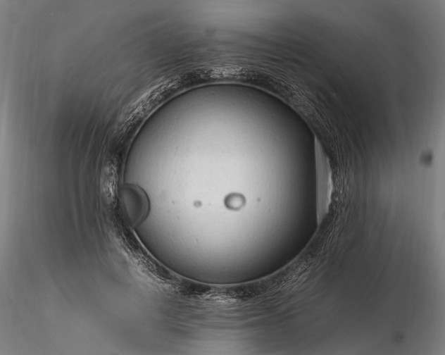 X0000116310648200912141359