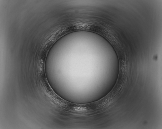 X0000116310649200912141359