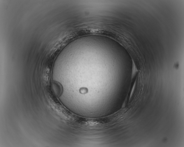 X0000116310650200912141359