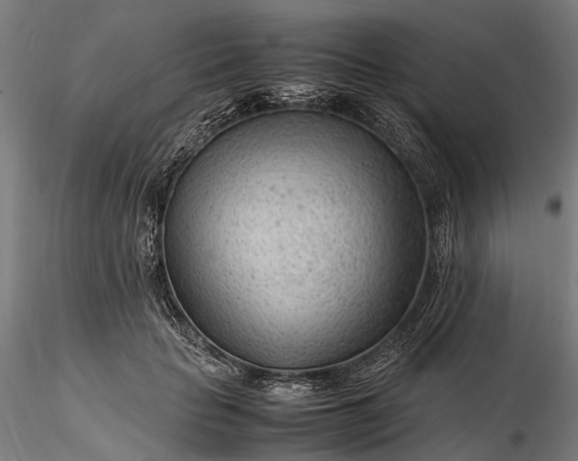 X0000116310653200912141359