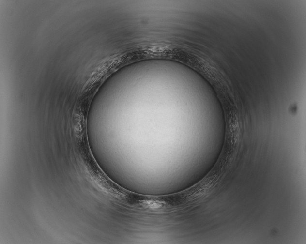 X0000116310654200912141359