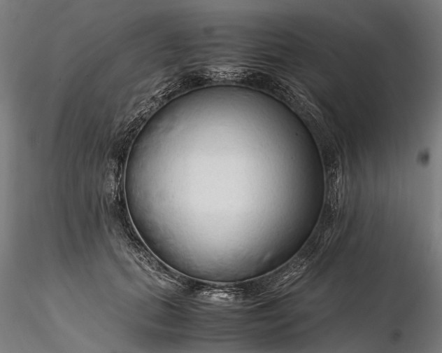 X0000116310655200912141359