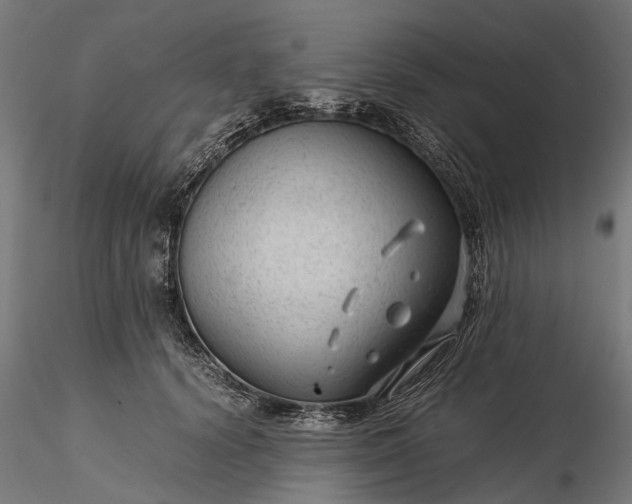 X0000116310656200912141359