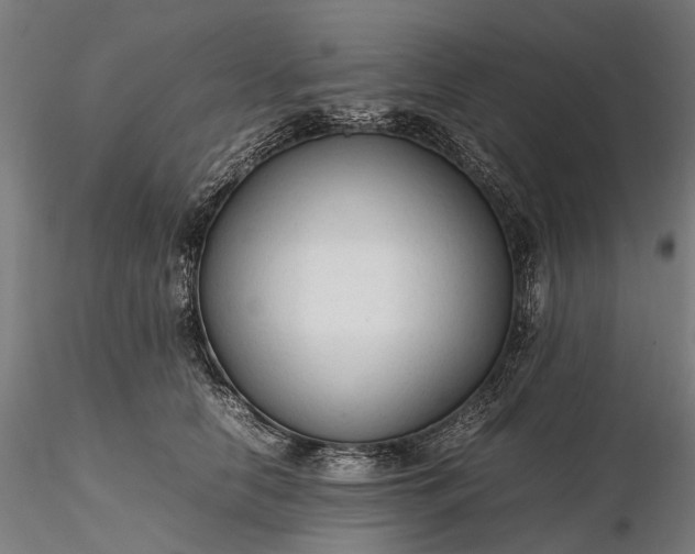 X0000116310658200912141359