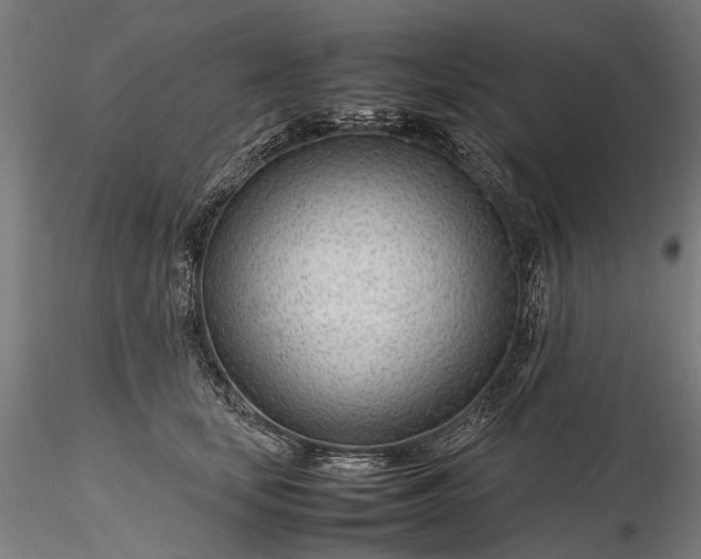 X0000116310659200912141359