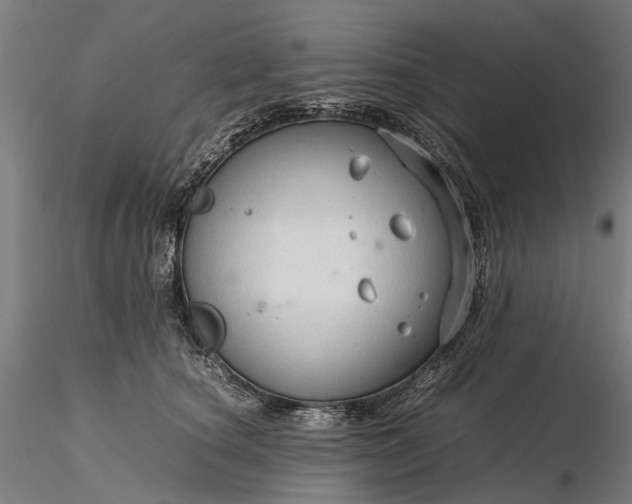 X0000116310660200912141359