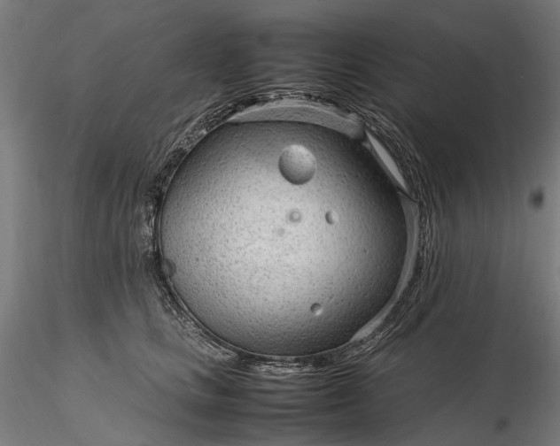 X0000116310661200912141400