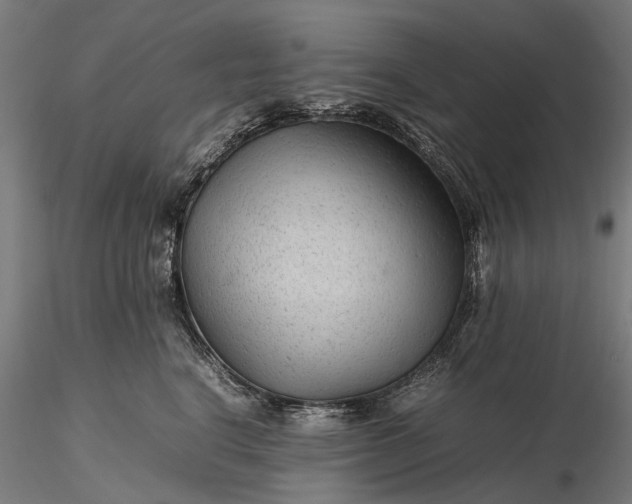 X0000116310664200912141400