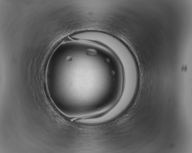 X0000116310673200912141359