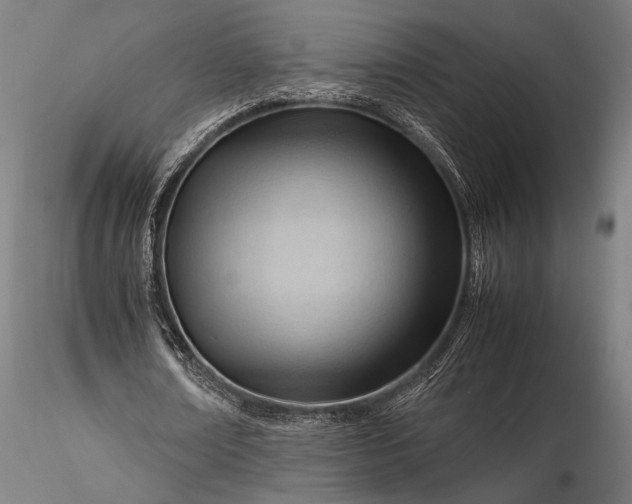 X0000116310674200912141359