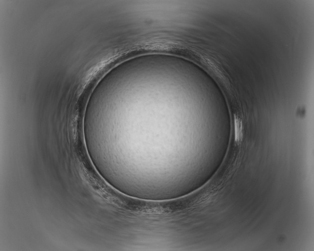 X0000116310675200912141359