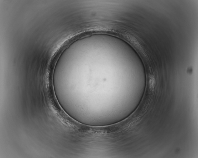 X0000116310676200912141359