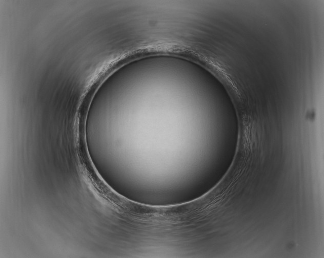 X0000116310678200912141359