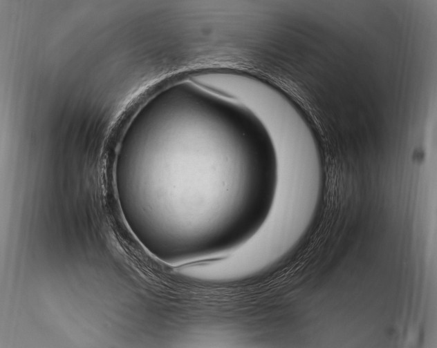 X0000116310680200912141359