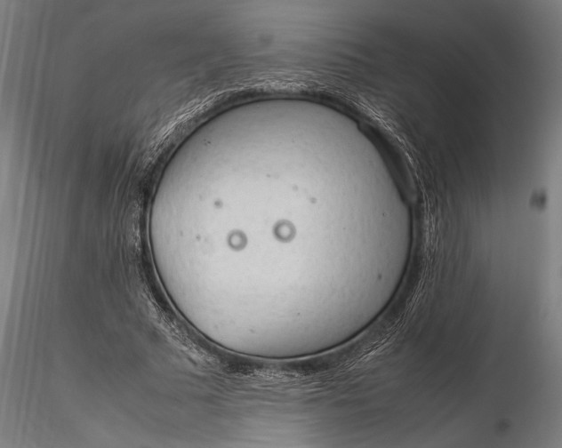 X0000116310681200912141359