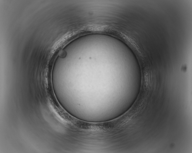 X0000116310682200912141359