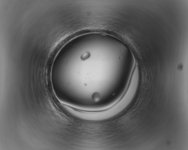 X0000116310684200912141359