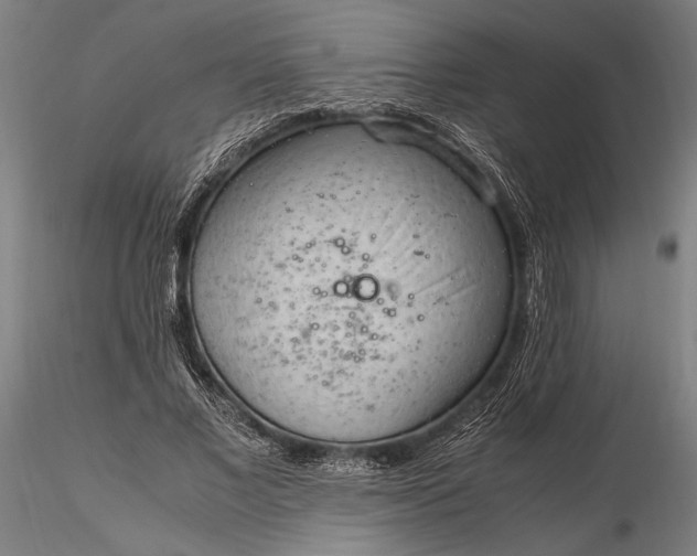 X0000116310685200912141359