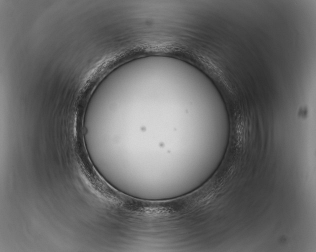 X0000116310686200912141359