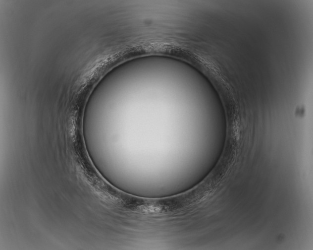 X0000116310687200912141359