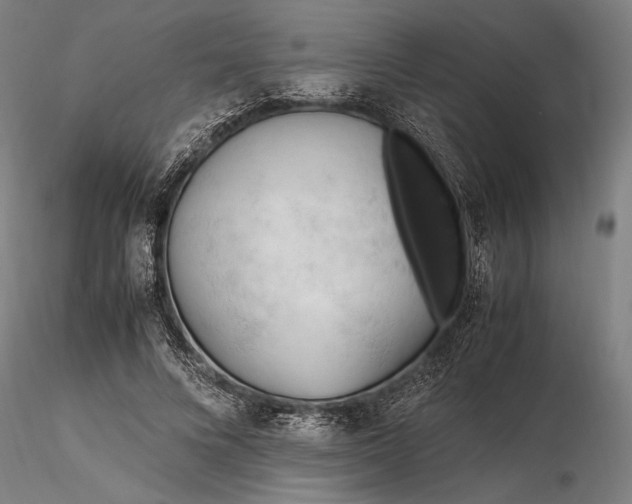 X0000116310688200912141359