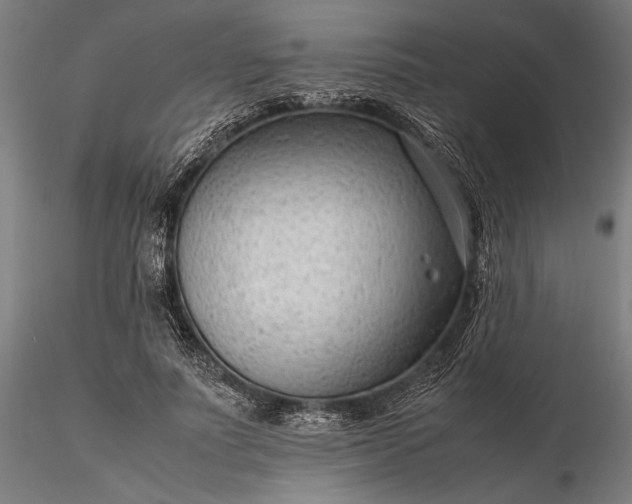 X0000116310691200912141359