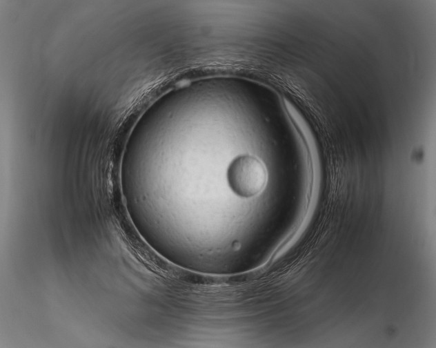 X0000116310692200912141359