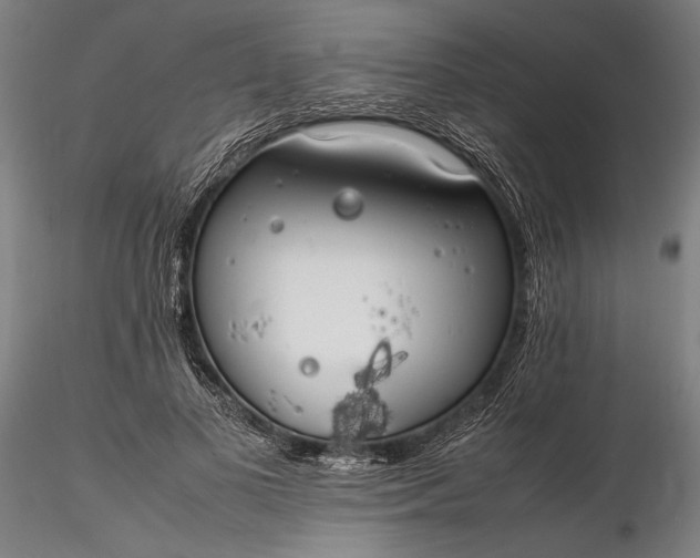 X0000116310693200912141359