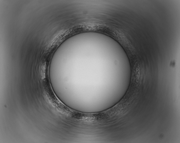 X0000116310694200912141359