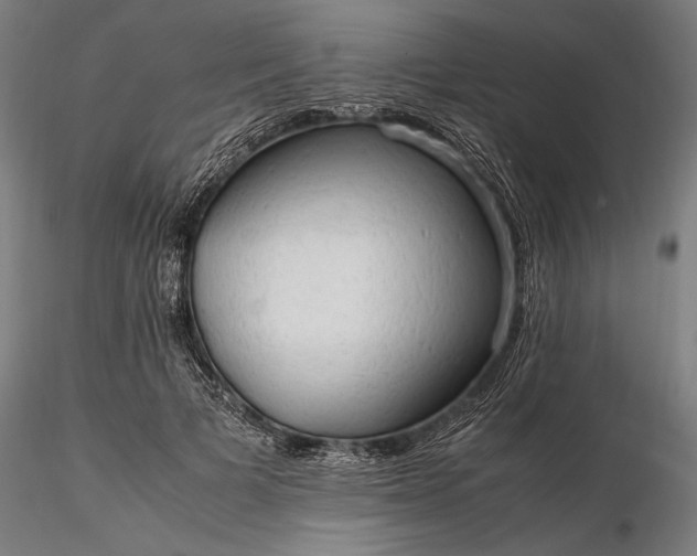 X0000116310697200912141358