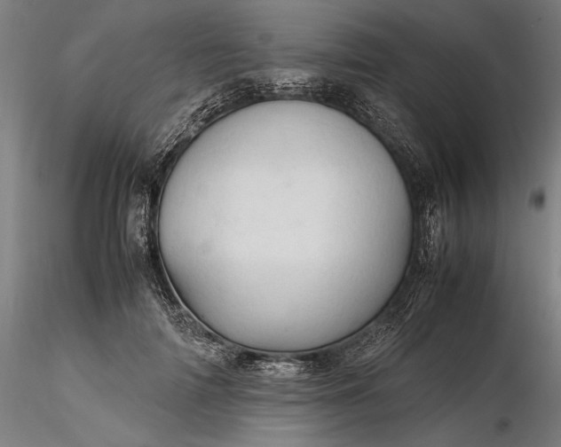 X0000116310698200912141358