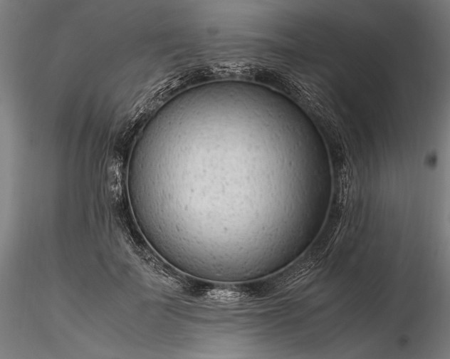 X0000116310699200912141358