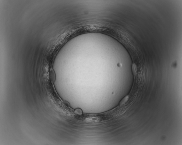 X0000116310700200912141358