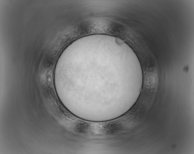 X0000116310701200912141358