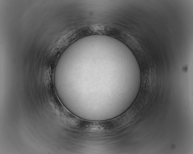 X0000116310702200912141358