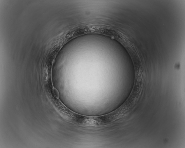 X0000116310703200912141358