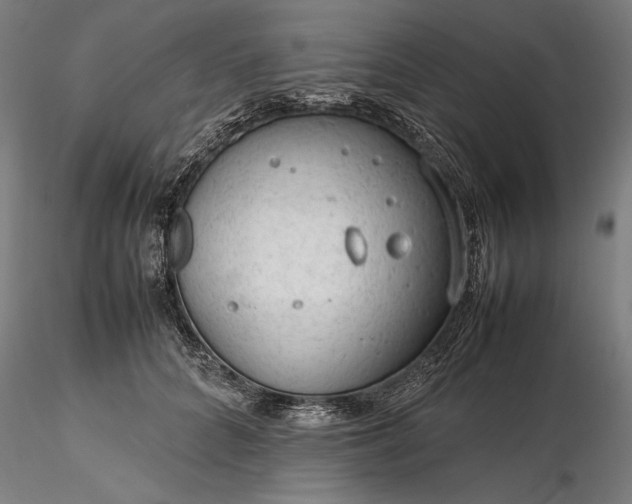 X0000116310704200912141358