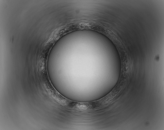 X0000116310706200912141358