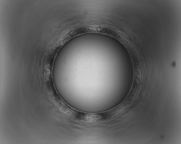 X0000116310707200912141358