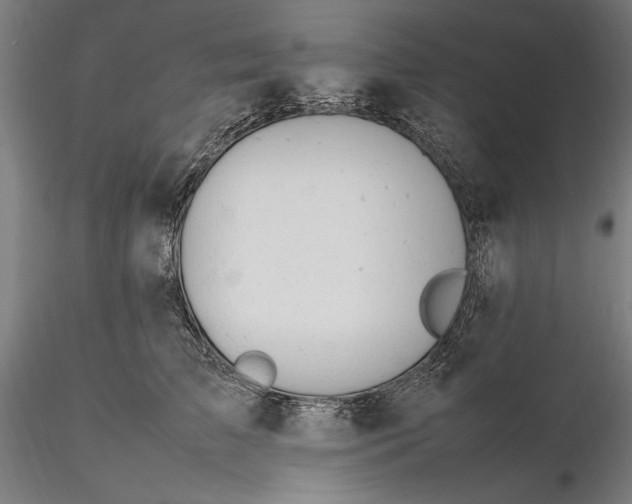 X0000116310709200912141358