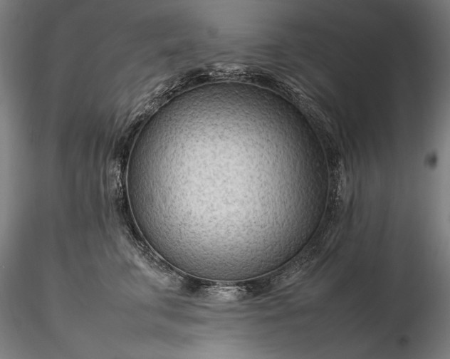 X0000116310711200912141358