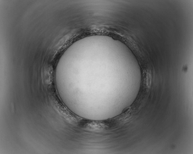 X0000116310712200912141358