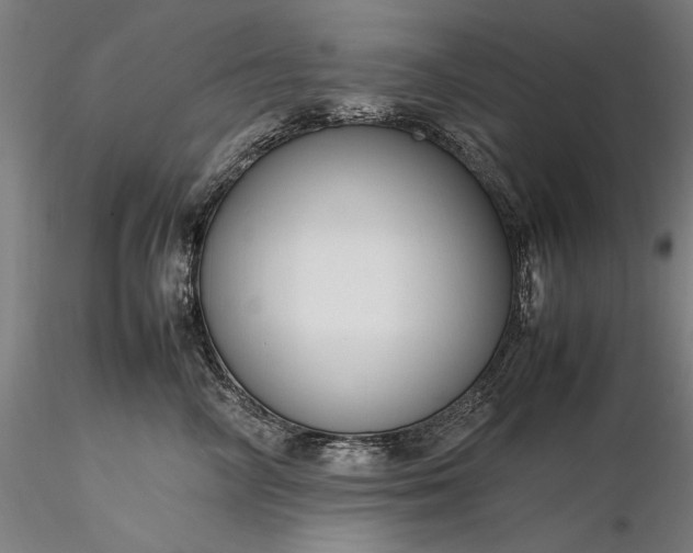 X0000116310714200912141358